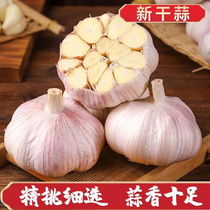 【秒杀价】今年新干蒜5斤2斤大蒜头农家新大蒜头250g起紫白皮1斤