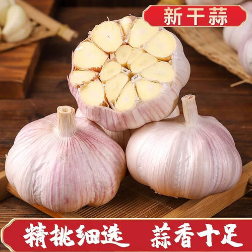 2025新干蒜农家干大蒜头大蒜
