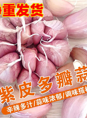 【净重发货】新干蒜5斤2斤大蒜头农家新大蒜头200g起紫白皮1斤