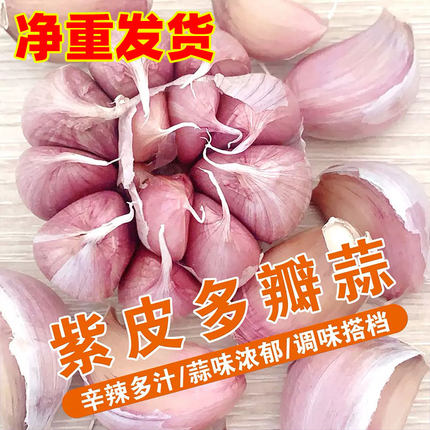 【净重发货】新干蒜5斤2斤大蒜头农家新大蒜头200g起紫白皮1斤