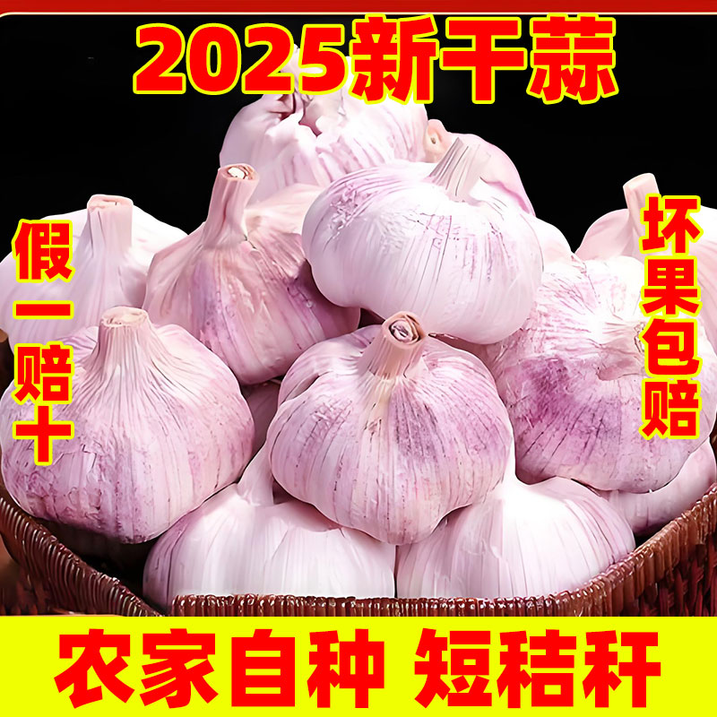 2025年新鲜山东金乡紫皮大蒜头特大干蒜5斤多瓣农家蔬菜批发新蒜