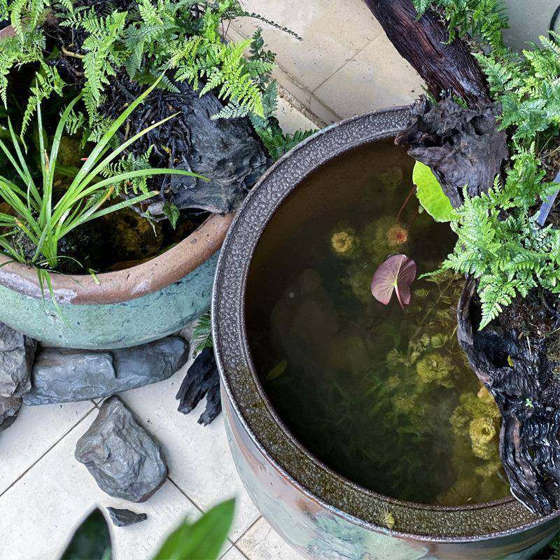 态陶瓷鱼缸古大法型台庭院中阳生式侘寂风循环M2023071水流水造景,宠物/宠物食品及用品,底柜/落地缸,淘宝优惠券,粉丝福利购,淘宝优惠卷