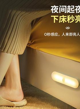德国体感应小20941夜灯智能人充电式声控灯墙用无线家过道壁起夜