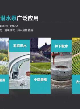 直流深井水OFE泵家用井水电2瓶电动车4v48v潜7v伏高扬程2深水井水