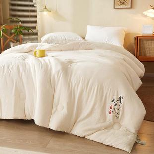 A原棉大豆纤维被子加厚被芯春秋夏季单ACG棉被暖冬被人保类床上用