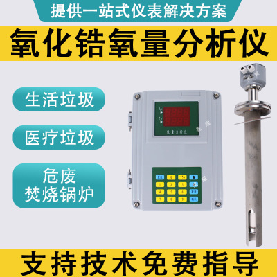 氧化锆氧量分析仪 垃圾焚烧专用款 氧含量检测仪