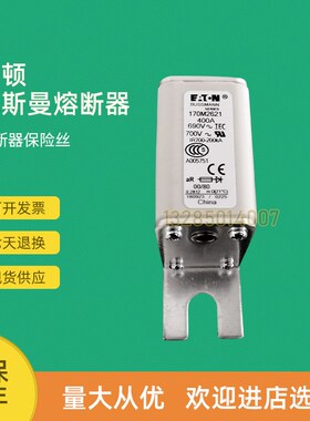全新快速熔断器保险170M2003 170M2004 170M2005 W170M2006