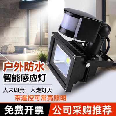 户外防水夜间自动雷达人体感应灯人来即亮人走即灭别墅庭院智能灯
