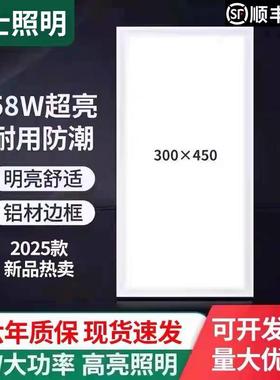 300x450集成吊顶灯LED厨卫灯30x45厨房灯铝扣板嵌入式面1.2cm超薄