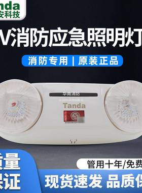 泰和安壁挂式集中电源应急灯E3W-6602A/E5W-6601B应急双头灯(36V)