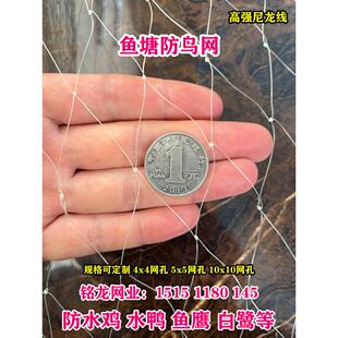 鱼塘防鸟网泥鳅塘天网养殖网牛蛙网大网眼尼龙综丝纱网防鸟用的网