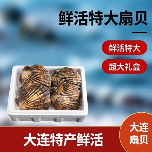 特大扇贝3斤大喜贝水产礼盒