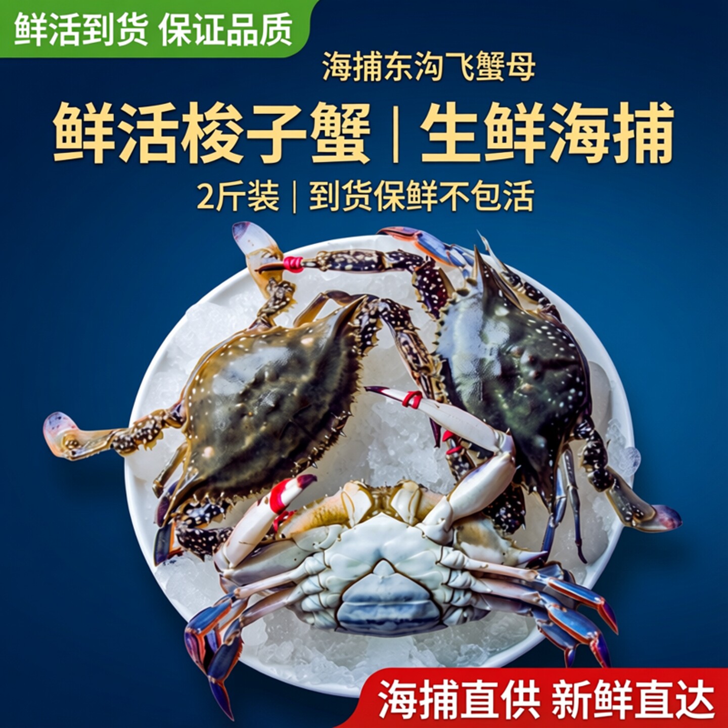 刘清海鲜 鲜活梭子蟹 螃蟹海捕东沟飞蟹母2斤鲜活 到货保鲜不包活