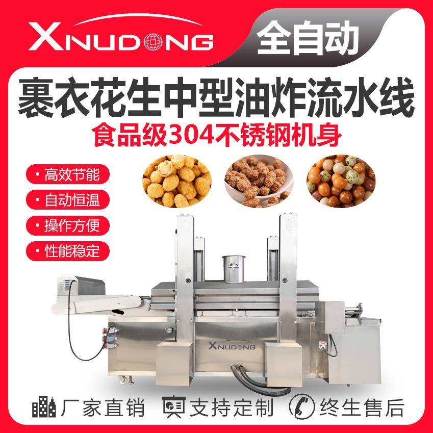 裹衣花生中型油炸流水线 自动油炸设备 裹衣花生油炸生产线