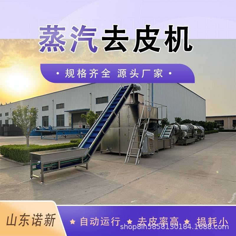 商用黄桃柠檬去皮机 预制菜大型加工全自动果蔬蒸汽去皮机