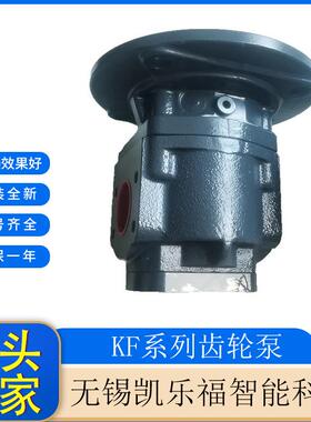 KF3/112F10BP0A7VP37/197 圆锥破碎机油泵KF6/500H20BN00