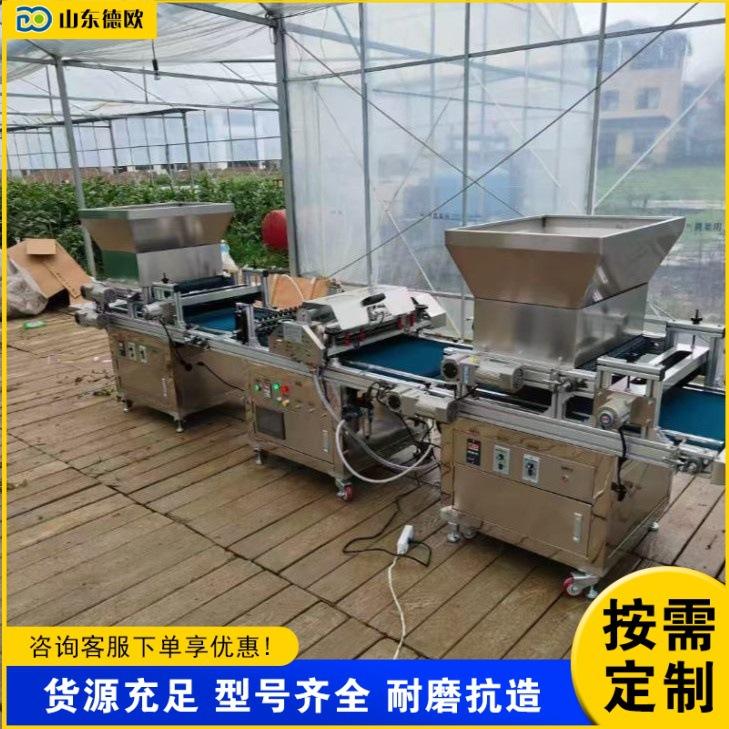全自动育苗盘播种机 花卉种子装土压穴育苗机 大棚果蔬秧苗点播机