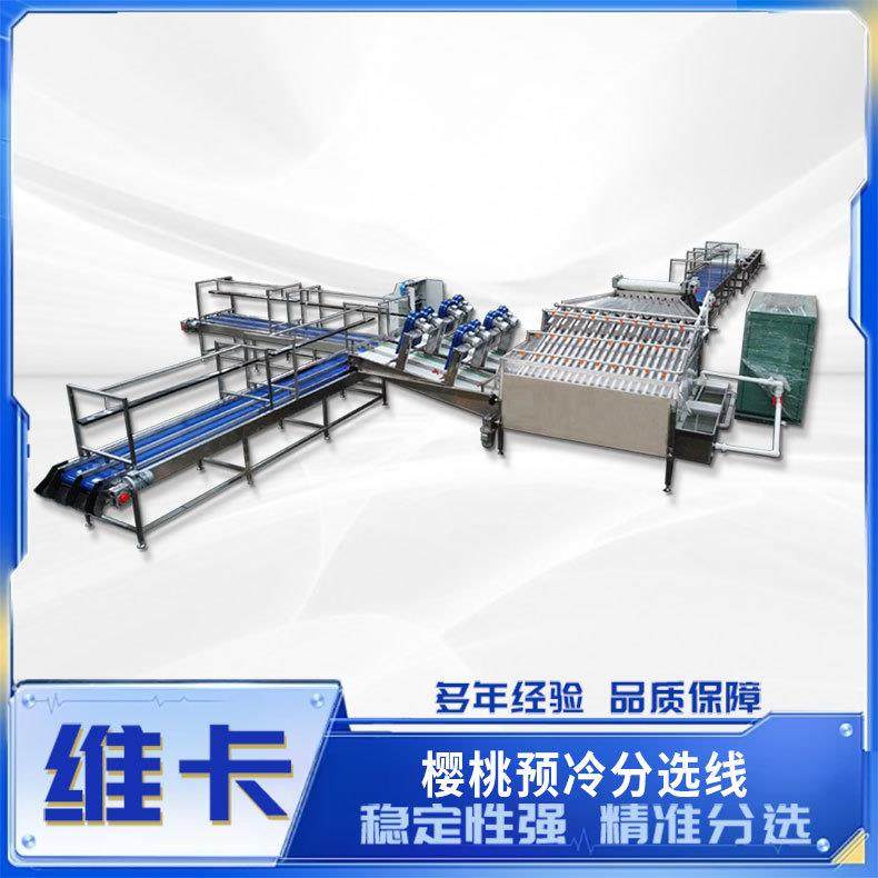 小型樱桃分拣流水线 预冷清洗风干打包 车厘子分选机分拣机厂家,五金/工具,其他包装设备,淘宝优惠券,粉丝福利购,淘宝优惠卷
