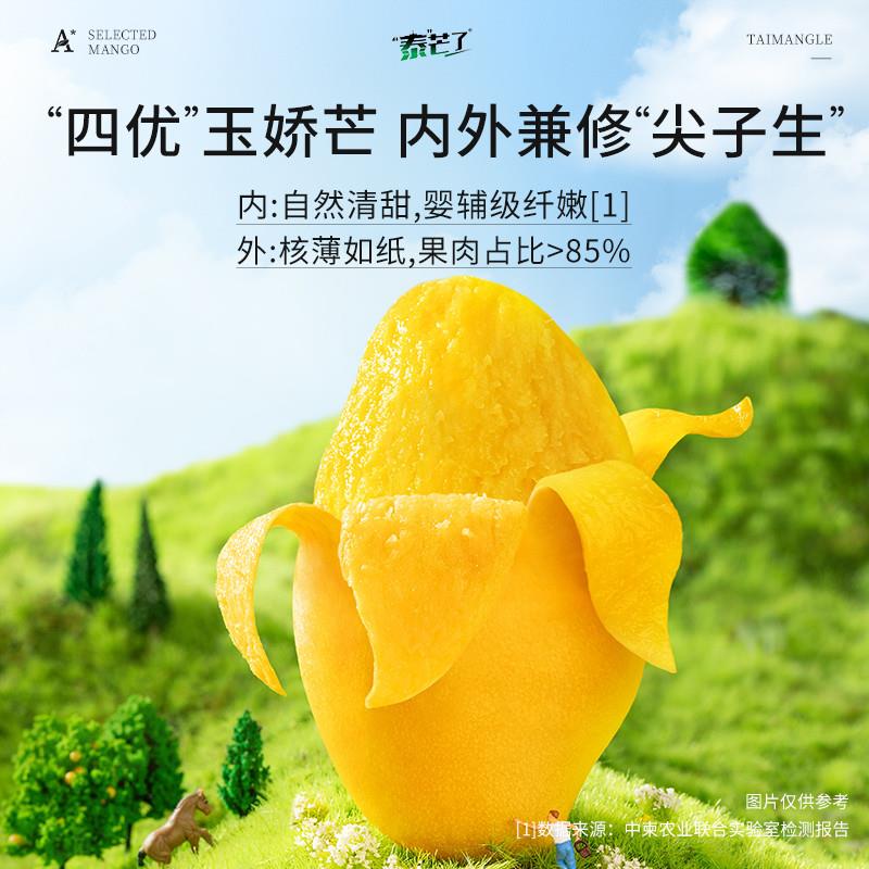 热卖中宝芒果干310g自封袋