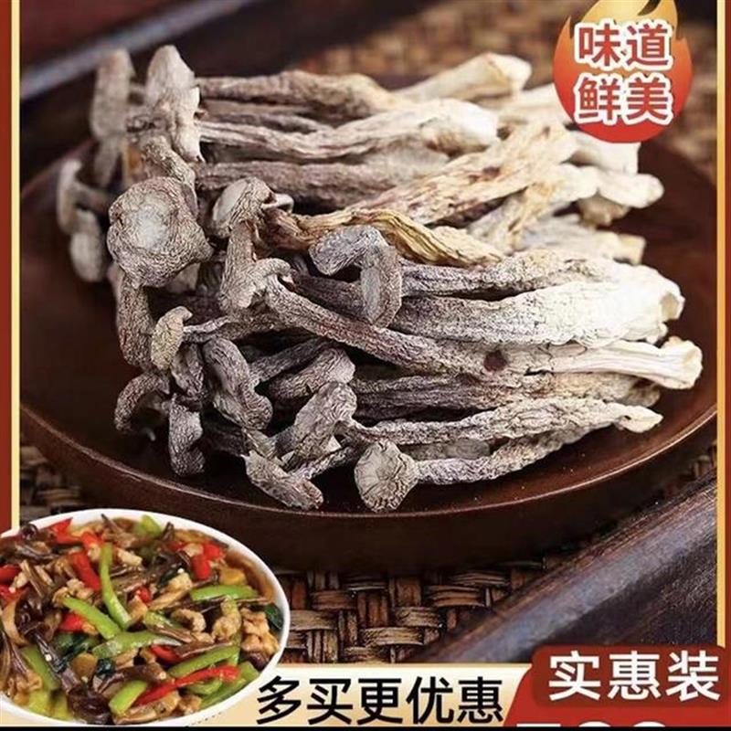 现货古田鹿茸菇脆脆菇无硫