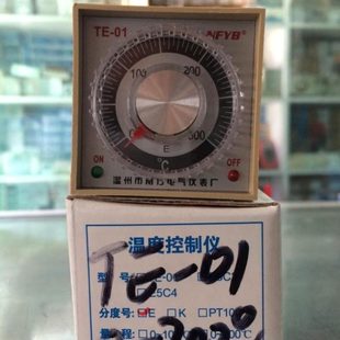 01电烤箱封口机指针温度控制器E型300℃ 温州南方仪表温控表TE