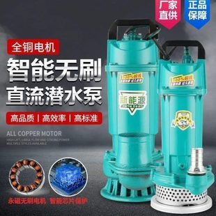 泵V直48V农田灌溉2家用V7抽水电瓶车无直流潜水泵刷泵60流大流量