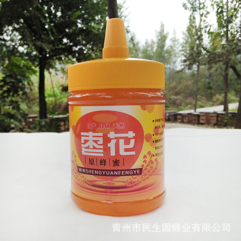 蜂农自产枣花蜜 500g带嘴瓶装蜂蜜 瓶装枣花蜂蜜原蜜