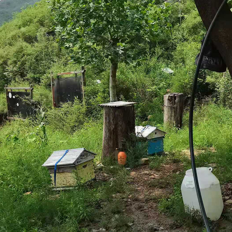 蕊源成熟蜜30天充分酿造高活性酶