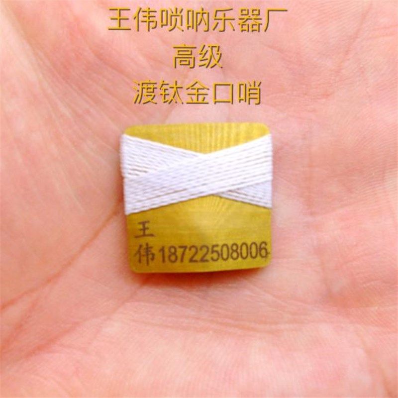 唢呐口琴子唢呐口哨口密子唢呐口技打枣咔卡哨咔戏呐子送丝绸