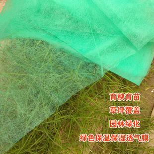 绿化不织布育苗不织布种植地膜农用薄膜蔬菜防冻保温覆盖膜透气膜
