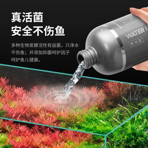 尼特利硝化细菌鱼缸用净水剂养鱼净化水质稳定剂分解鱼粪消化液