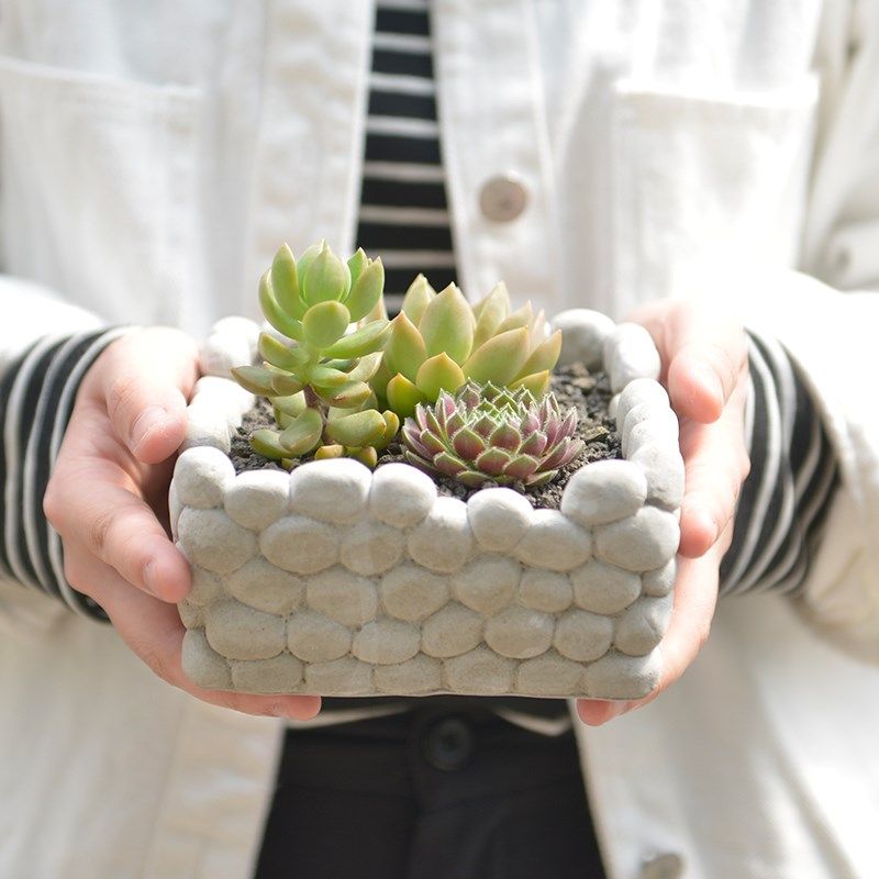 时尚个性创意桌面办公室仿木纹水泥花盆绿植仿石块透气水泥盆包邮,鲜花速递/花卉仿真/绿植园艺,花盆,淘宝优惠券,粉丝福利购,淘宝优惠卷