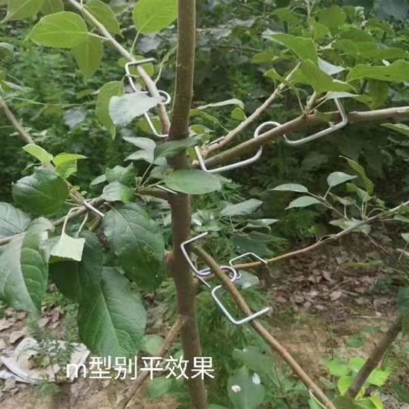 50斤果树SE.M型别枝器开角器拉枝器拨枝器压枝器园林工具弯枝神器