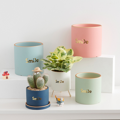 精致小花盆家用北欧花盆陶瓷带托盘专用多肉植物盆栽盆