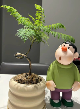 胖虎入户玄关摆件创意客厅电视柜桌面轻奢高档装饰品乔迁新居礼物