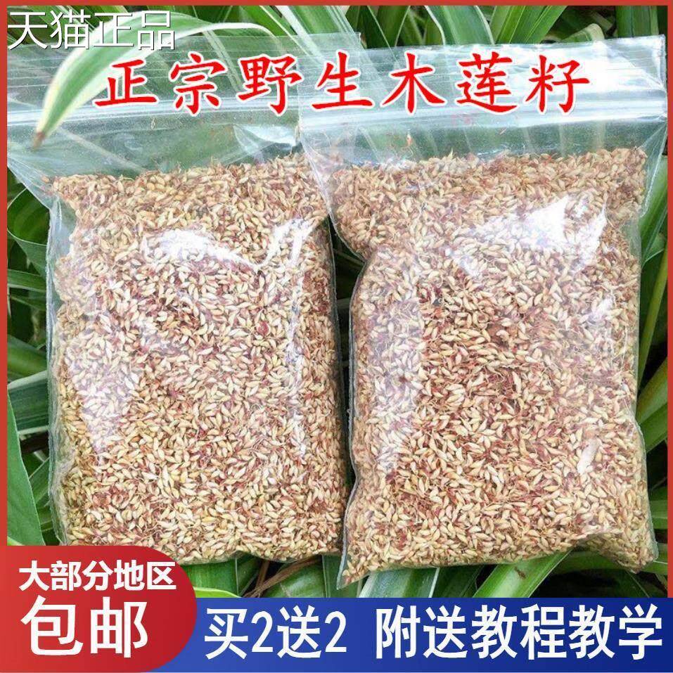 浙江诸暨特产木莲豆腐木莲子木莲籽爱玉子冰粉籽薜荔籽凉粉籽