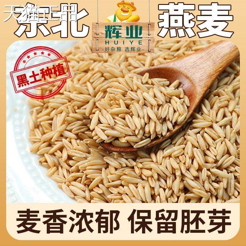 东北燕麦米生燕麦仁新米新五谷杂粮米饭糙米有机非胚芽
