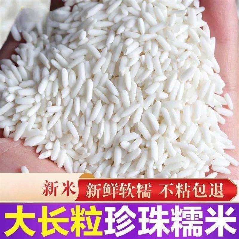 新货长糯米长江米新鲜散装