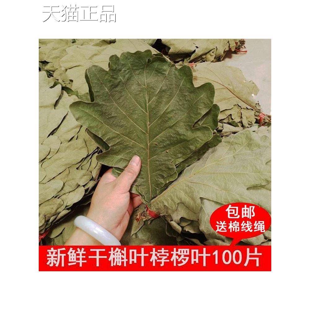 野生新鲜粽叶干粽叶柞树叶槲叶菠萝叶桲椤叶精选大号胡叶100片/份