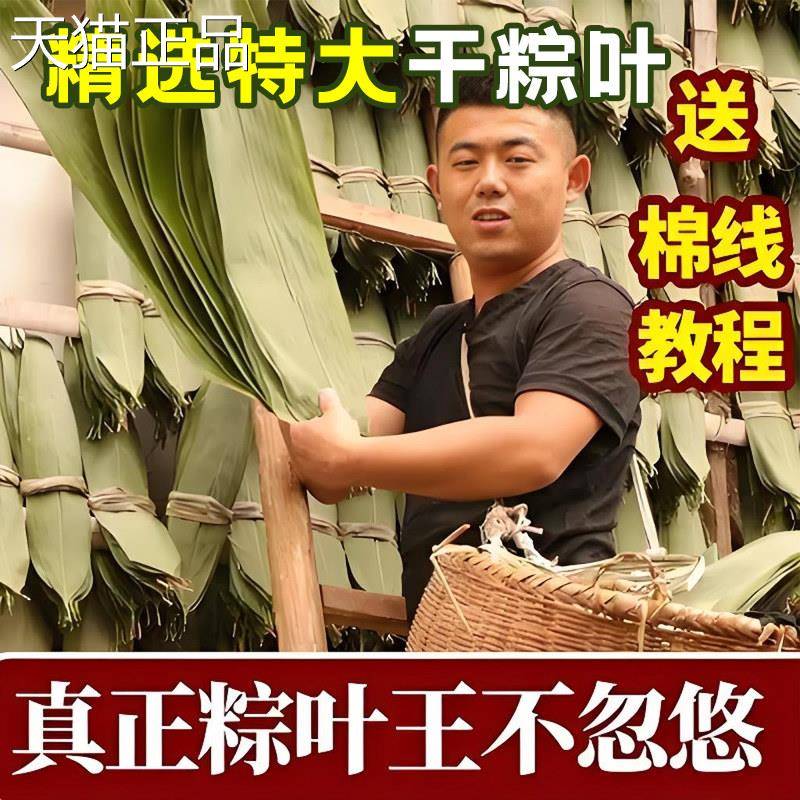 粽子叶粽叶干大号棕叶新鲜包粽子竹叶子干粽叶商用箬叶材料旗舰店