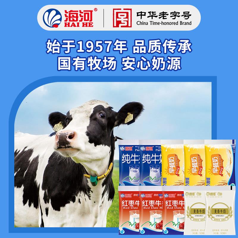 正宗牛奶10袋4种口味整箱