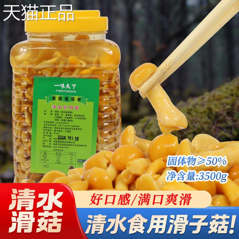 一味天下清水滑菇罐头 食用野生菌珍珠菌3500g包邮 火锅汤锅