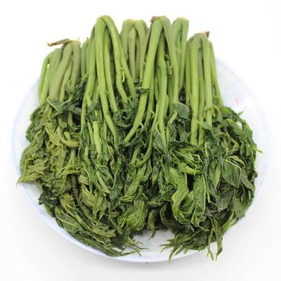 正宗头茬嫩香椿芽2025年新