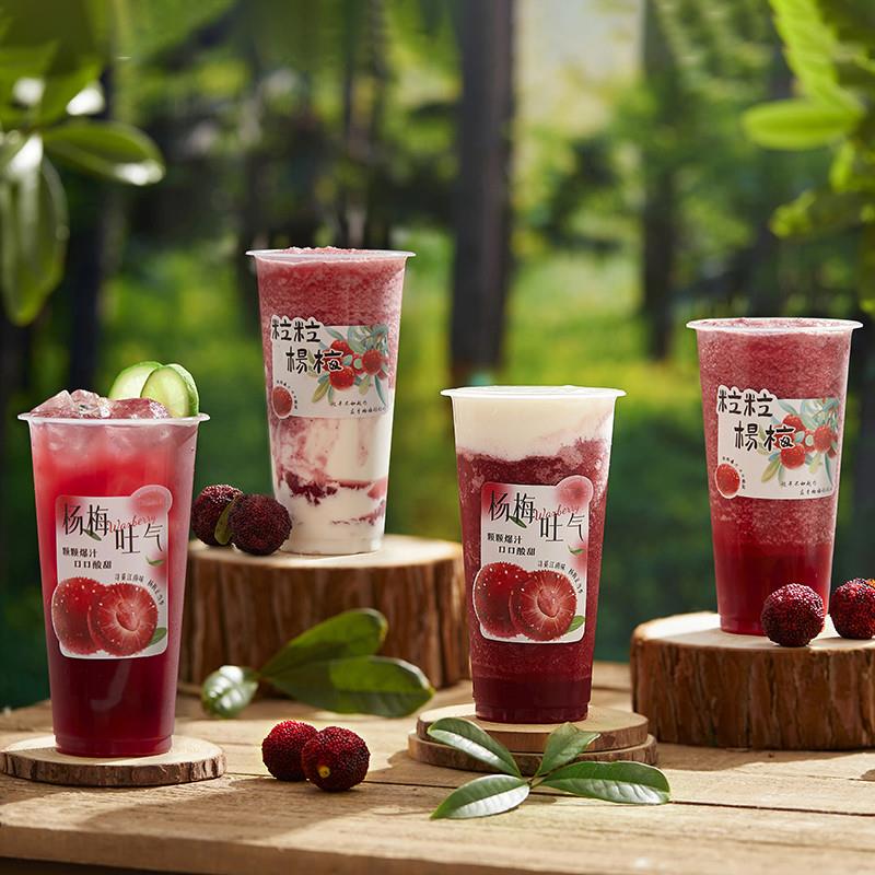 正宗杨梅果浆hpp冷鲜锁鲜