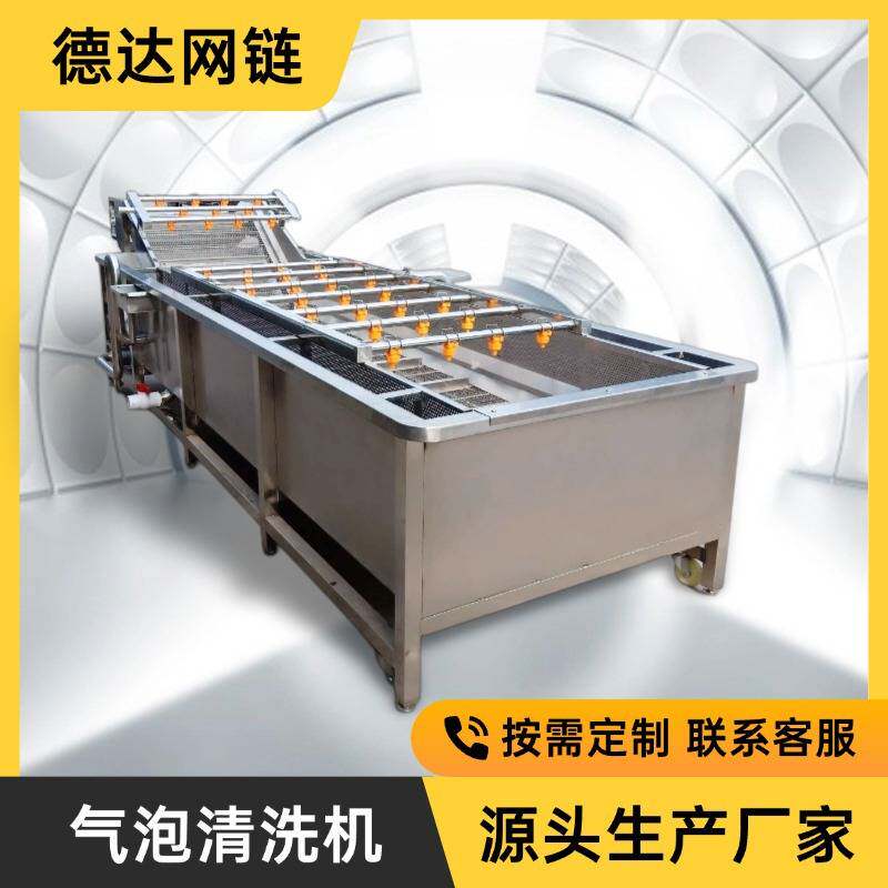 定制气泡清洗机水箱一体提升清洗机304不锈钢水槽清洗提升机厂家