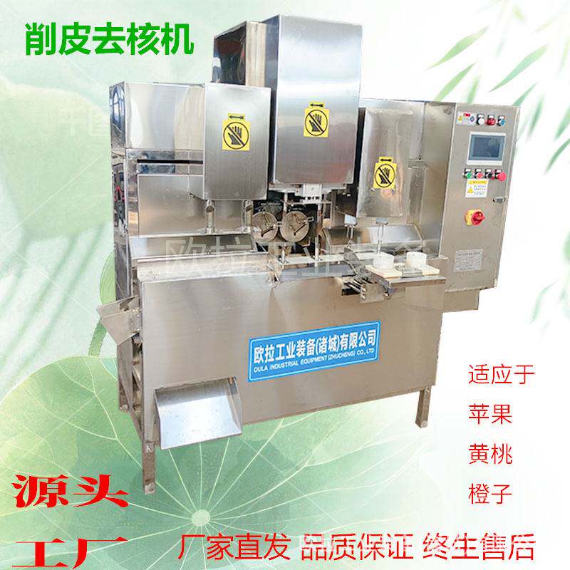 橙子削皮设备 去核加工生产线 带核水果罐头全自动商用去皮去核机