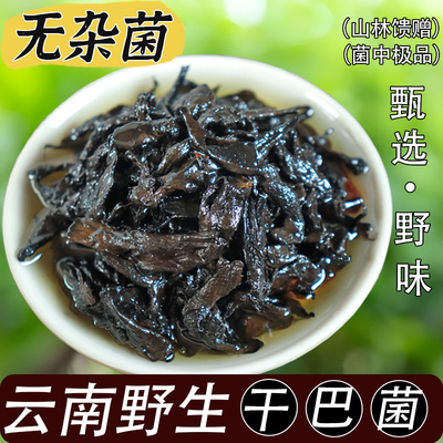 云南特产当季新货野生油淋干巴菌