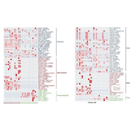 非中介生信分析单细胞转录组细胞通讯转录因子拟时均可python爬虫