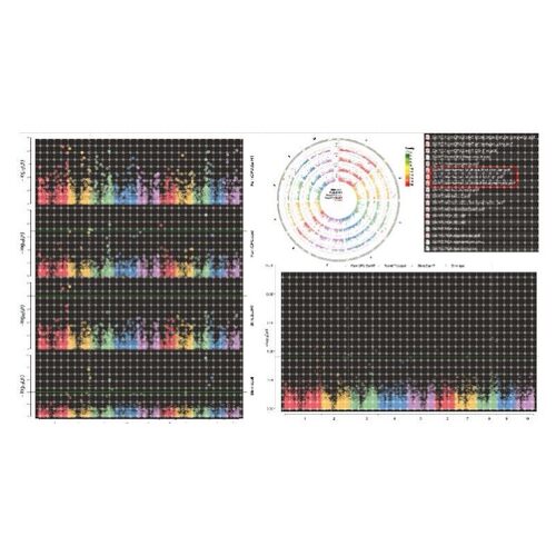 GWAS 孟德尔随机化 meta 共定位 SMR教学和代做