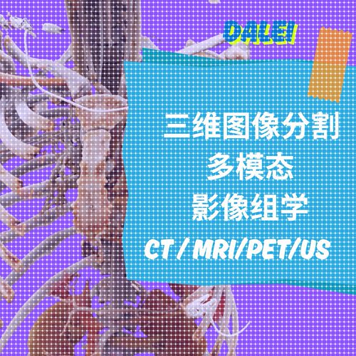 医学图像处理python三维图像分割深度学习人工智能软件开发CT MR